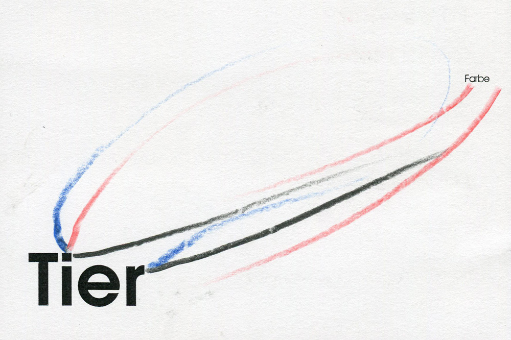 Farbe – Tier