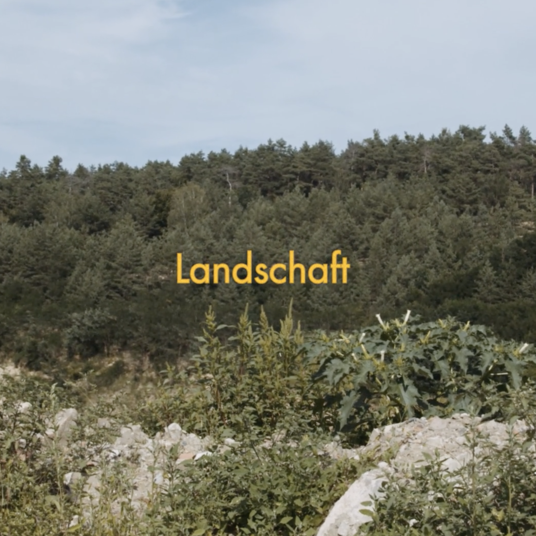 Höllger & Frauhammer / Landschaft