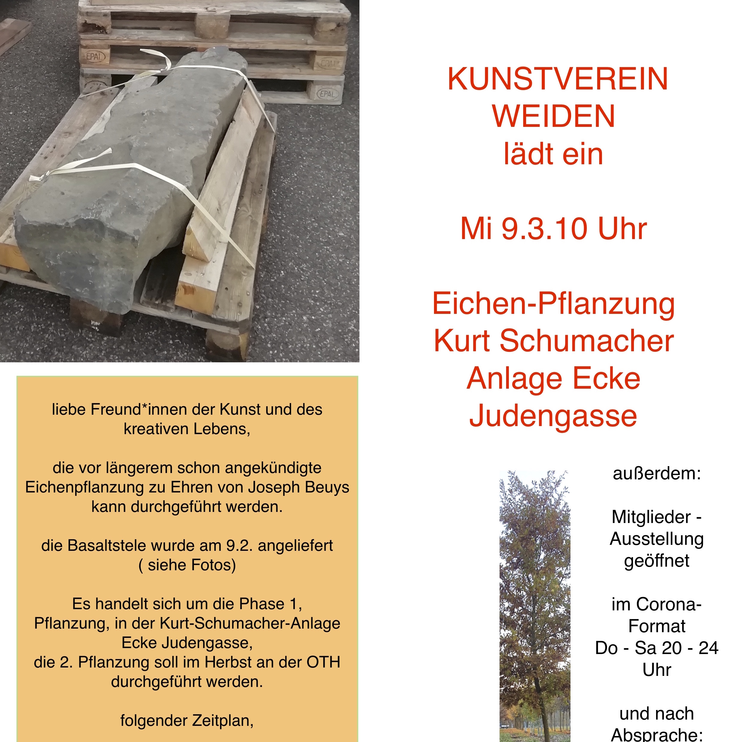 Beuys Eichenpflanzung